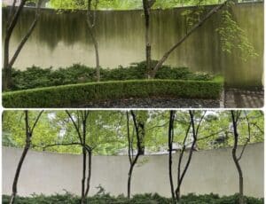 Soft Wash of Stucco Wall